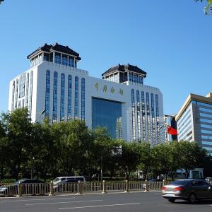 Customs Auxiliary Platform